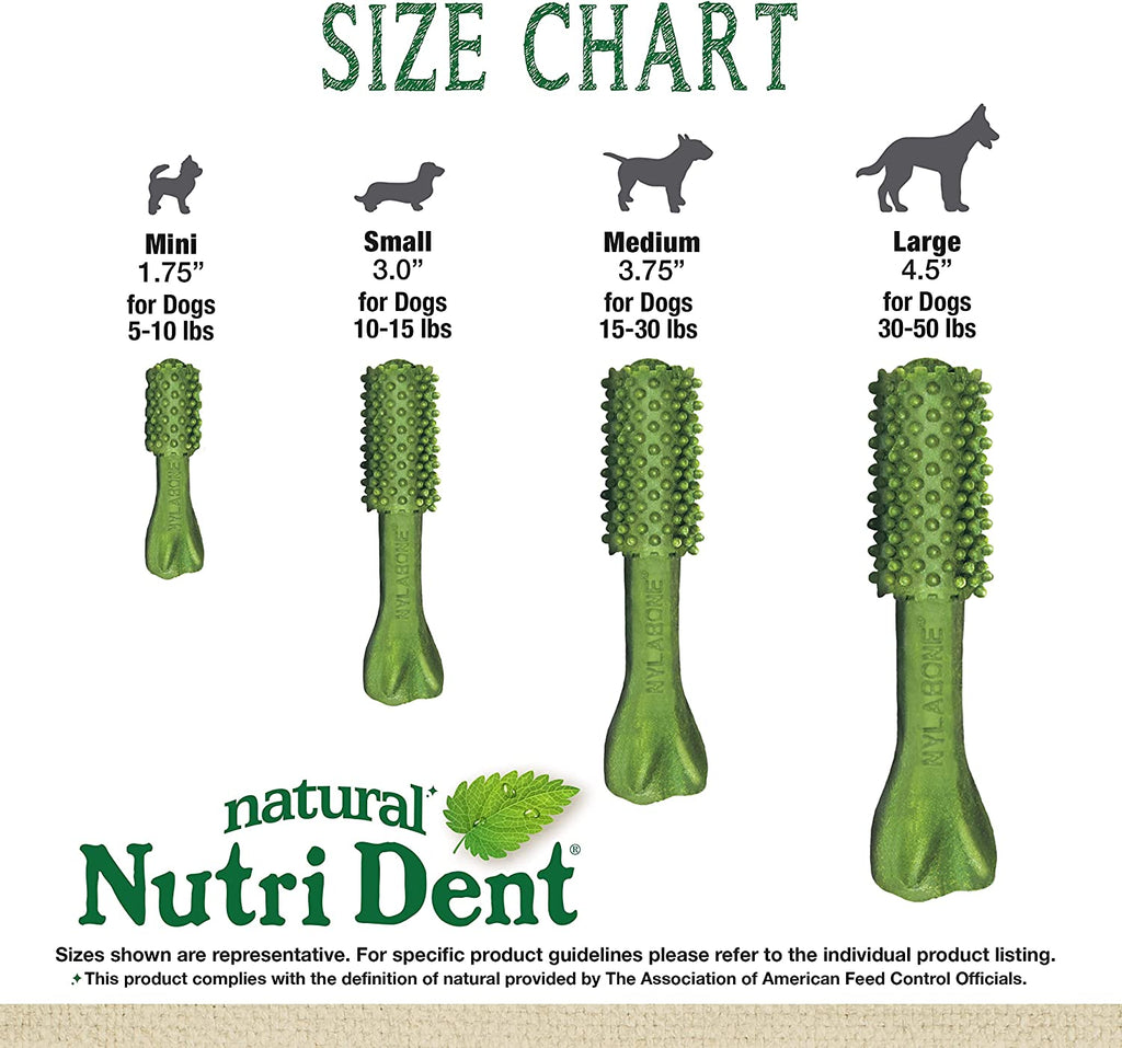 Nutri Dent Dog Dental Treats - Natural Dog Teeth Cleaning & Breath Freshener - Dental Treats for Dogs - Fresh Breath Flavor, Medium (40 Count) | for Medium Dogs 15-30 Lbs, Natural Dog Dental Chews, Helps Clean Teeth & Freshen Breath, Usa-Made, Vet Recommended